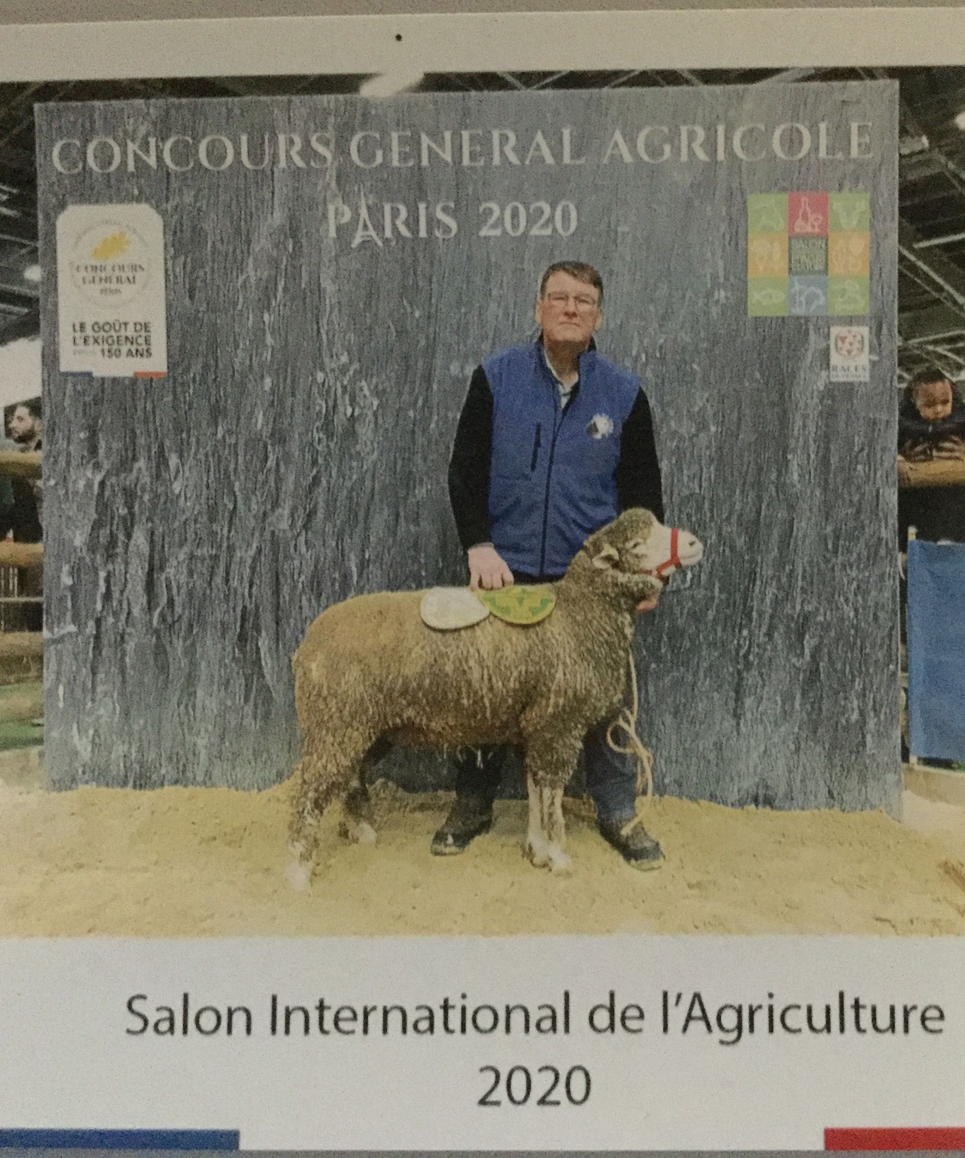 Concour agricole paris 2020 - Elavege de Moutons